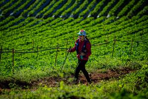 BIB: 
                            <button type="button" onclick="openModal(19160871)" class="btn btn-primary btn-sm float-right btn-popup" data-toggle="modal" data-target=".modal-high-quality">
                        <i class="fas fa-shopping-cart"></i> Add to Cart
                    </button>
                                            <button type="button" onclick="isThisMe(19160871, true)" class="btn btn-success btn-sm float-right btn-popup btn-isme hidden" data-toggle="tooltip" data-placement="bottom" title="นี่คือรูปของคุณใช่ไหม คลิกที่นี่เพื่อเอาเข้าอัลบั้ม">
                        <i class="fas fa-plus"></i> Add to album
                    </button>
                    <button type="button" onclick="isThisMe(19160871, false)" class="btn btn-warning btn-sm float-right btn-popup btn-isnotme hidden">
                        <i class="fas fa-ban"></i> Remove from album
                    </button>